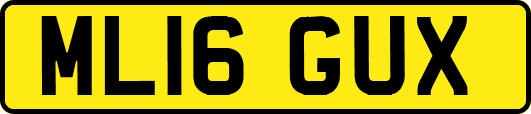 ML16GUX
