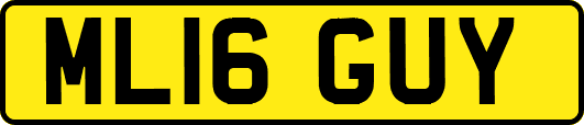 ML16GUY