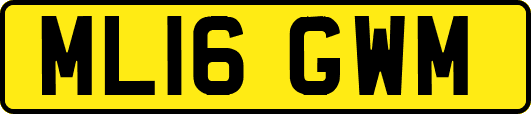 ML16GWM