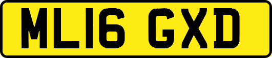 ML16GXD