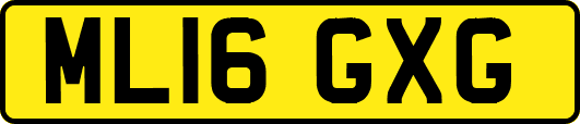 ML16GXG