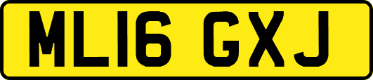 ML16GXJ