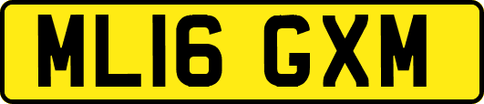 ML16GXM