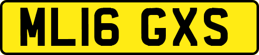 ML16GXS