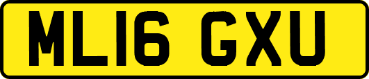 ML16GXU