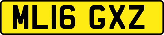 ML16GXZ