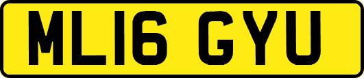 ML16GYU
