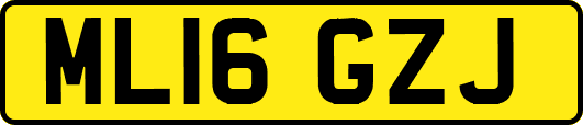 ML16GZJ