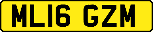 ML16GZM