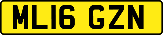 ML16GZN