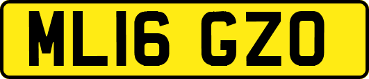 ML16GZO