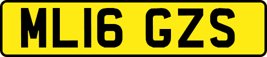 ML16GZS