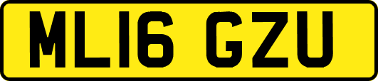 ML16GZU