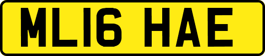 ML16HAE