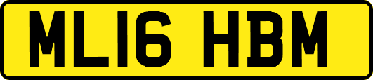 ML16HBM