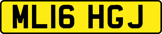 ML16HGJ