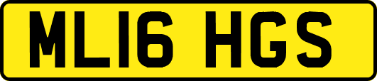ML16HGS