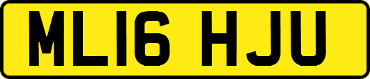 ML16HJU