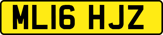 ML16HJZ