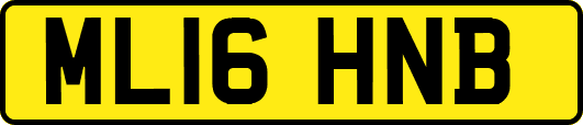 ML16HNB