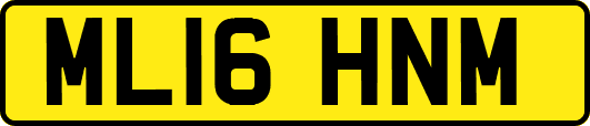 ML16HNM