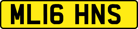 ML16HNS