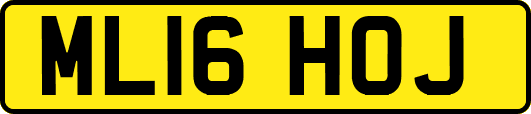 ML16HOJ