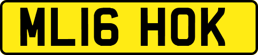 ML16HOK