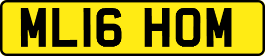 ML16HOM