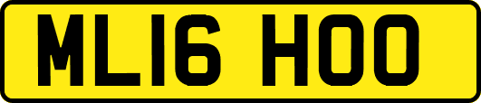 ML16HOO