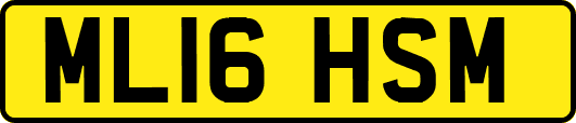 ML16HSM