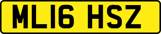 ML16HSZ