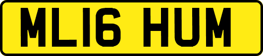 ML16HUM