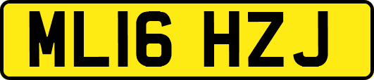 ML16HZJ