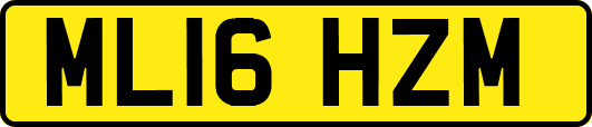 ML16HZM