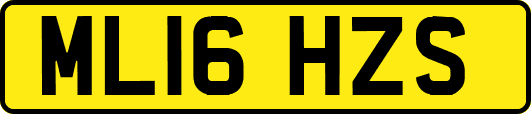 ML16HZS