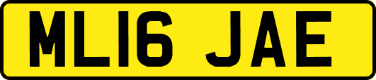 ML16JAE