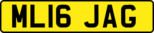 ML16JAG