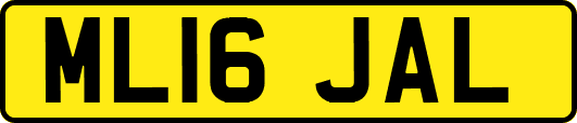 ML16JAL