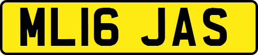 ML16JAS