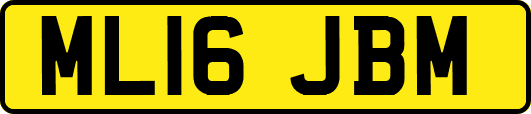ML16JBM