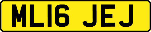ML16JEJ