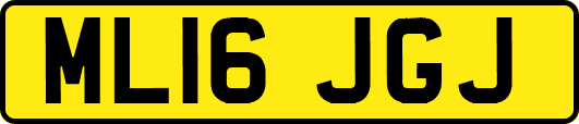 ML16JGJ