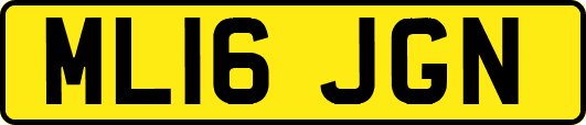 ML16JGN