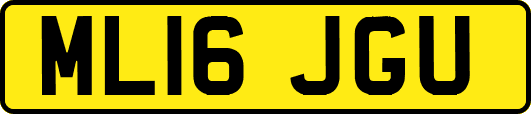 ML16JGU
