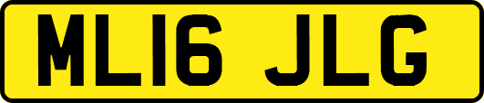 ML16JLG