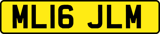 ML16JLM