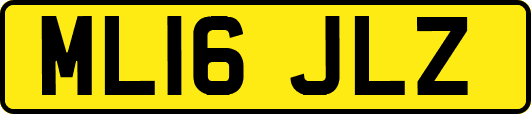 ML16JLZ