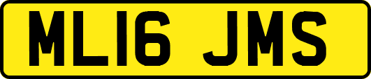 ML16JMS
