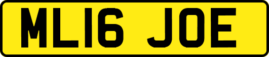 ML16JOE